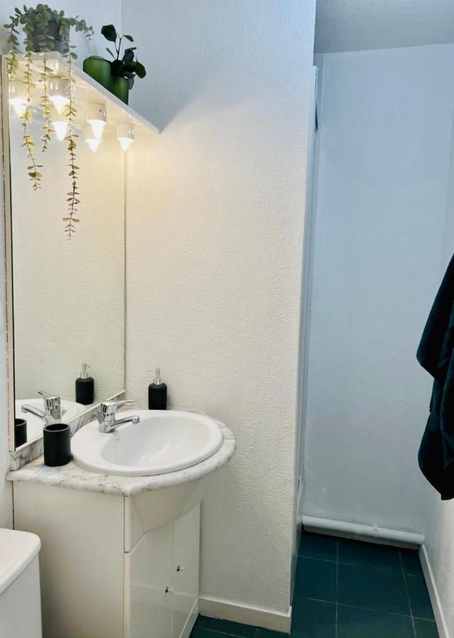 Le Duplex Compans - A 10Min Du Capitole - Free Checkin - Wifi Διαμέρισμα Τουλούζη Εξωτερικό φωτογραφία