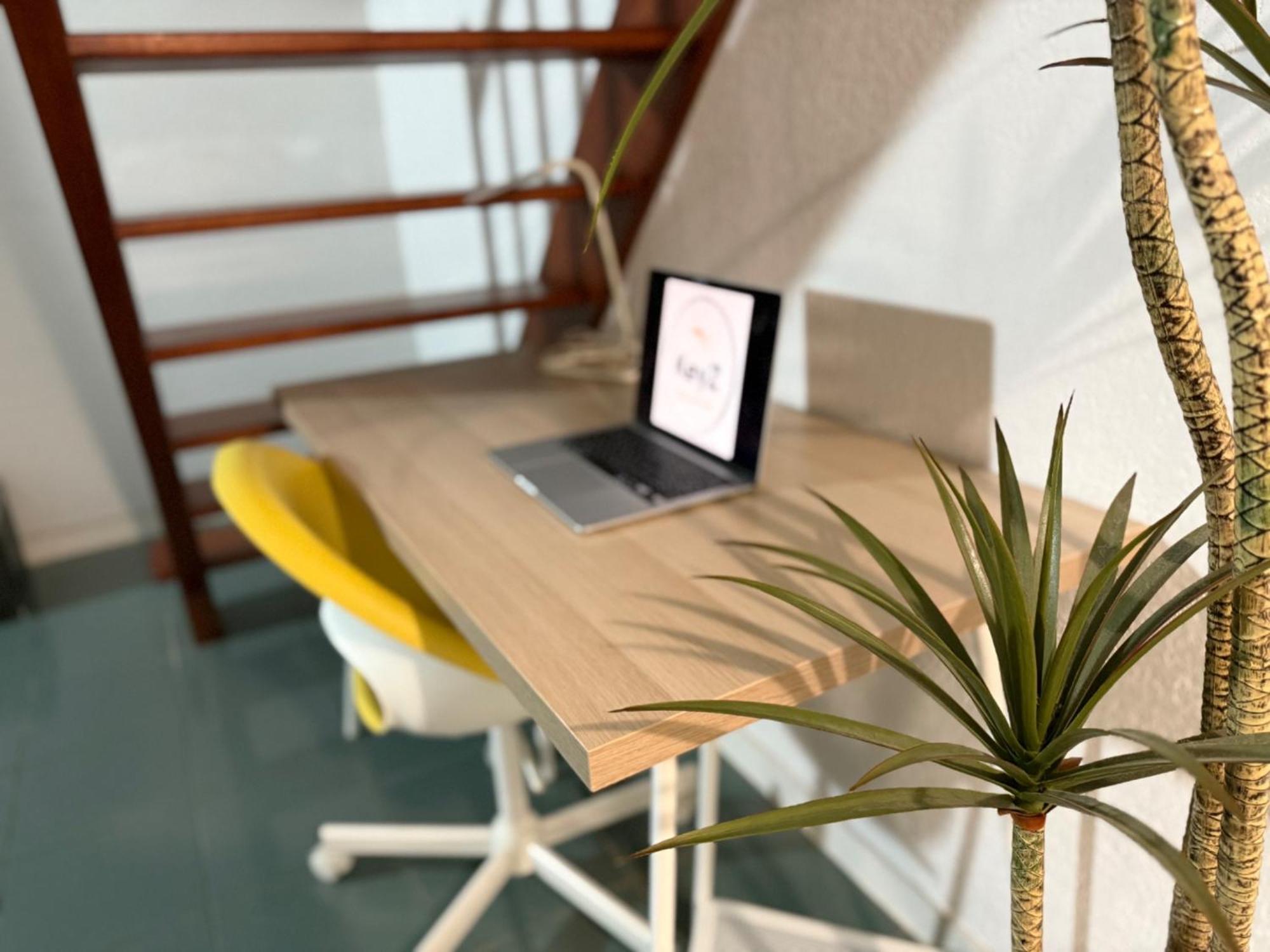 Le Duplex Compans - A 10Min Du Capitole - Free Checkin - Wifi Διαμέρισμα Τουλούζη Εξωτερικό φωτογραφία